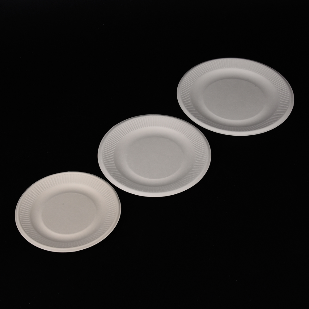 sugarcane bagasse lace round plate(tray)