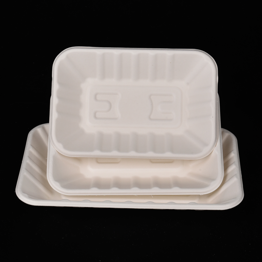 sugarcane bagasse square plate（tray）